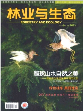 ֘IcBs־Ҫ