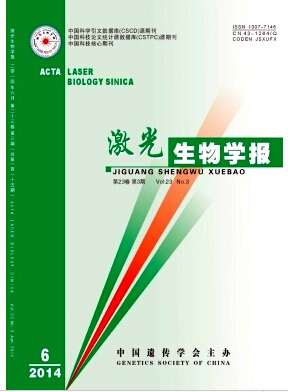 W(xu)(bo)s־ڿՓİl(f)