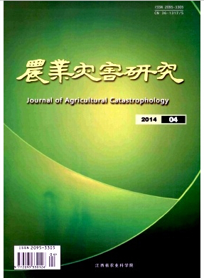 rIĺоs־Ͷ