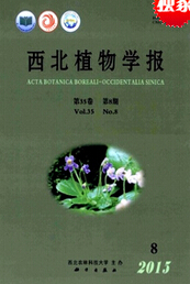 BhՓ