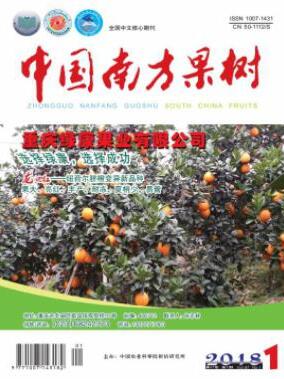 ЇϷ䱱ڿ
